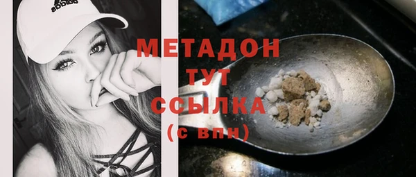шишки Бородино