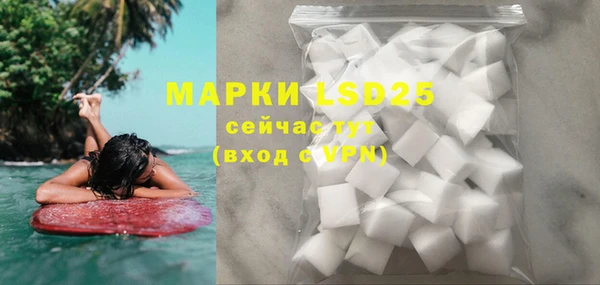 шишки Бородино