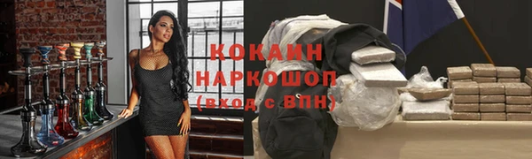 шишки Бородино