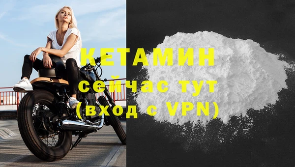 шишки Бородино