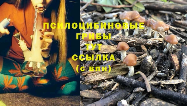 шишки Бородино